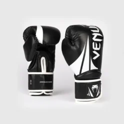 Challenger 2.5 Boxing Gloves Black/White