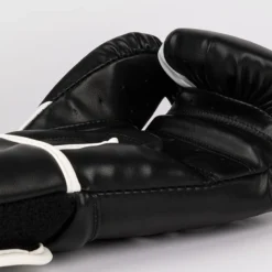 Challenger 2.5 Boxing Gloves Black/White