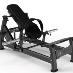 Hip Thrust