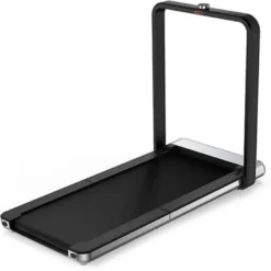 King Smith Walkingpad X21