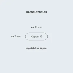 Lions mane 60 vegetabiliska kapslar