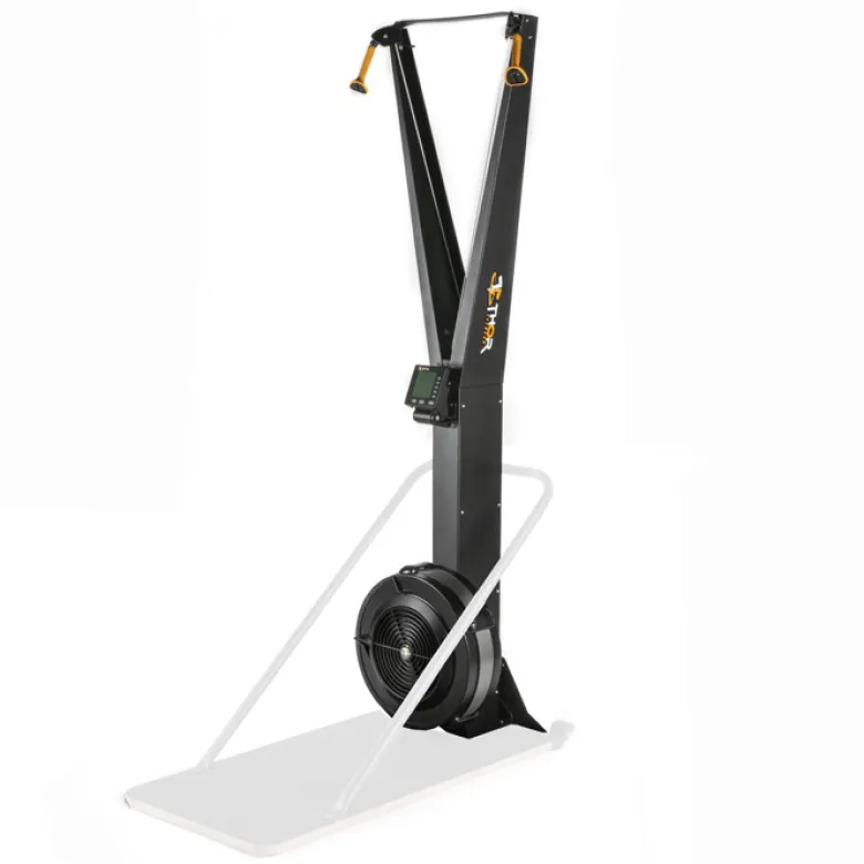Thor Fitness Air Skier Väggmonterad