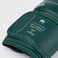 Venum Impact Evo Boxing Gloves Esmerald Green