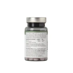 Vitamin B-12 Vegan 100 tabletter