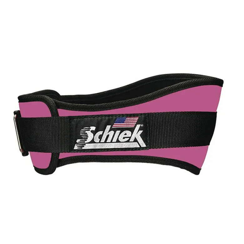 2004 - Workout Belt, Pink