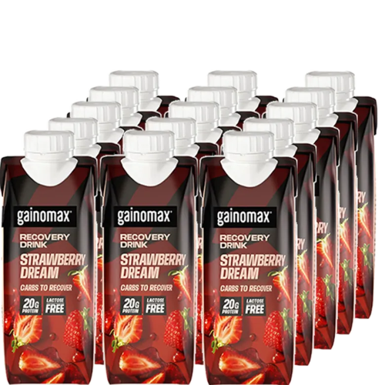 15 x Gainomax Recovery Chocolate 250 ml